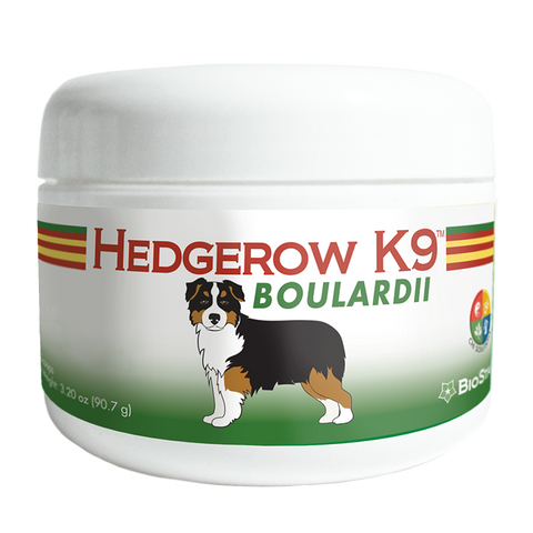 Hedgerow K9 Boulardii