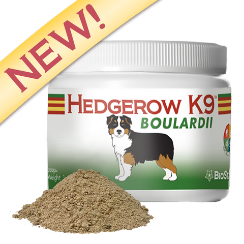 Hedgerow K9 Boulardii for dogs | BioStar US