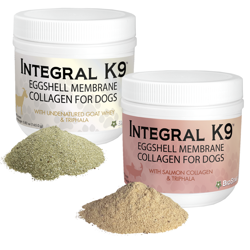 Integral K9 Eggshell Membrane Collagen supplements for dogs | BioStar US