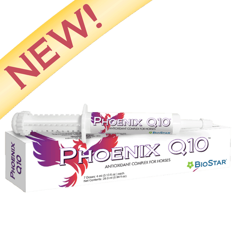 Phoenix Q10