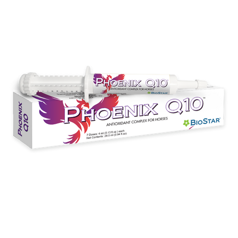 Phoenix Q10
