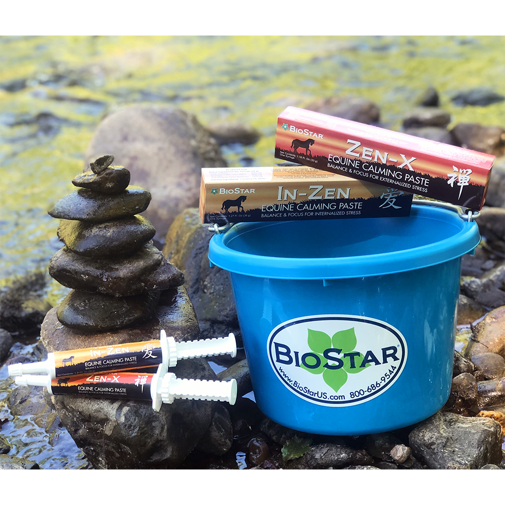 Zen Equine Syringes