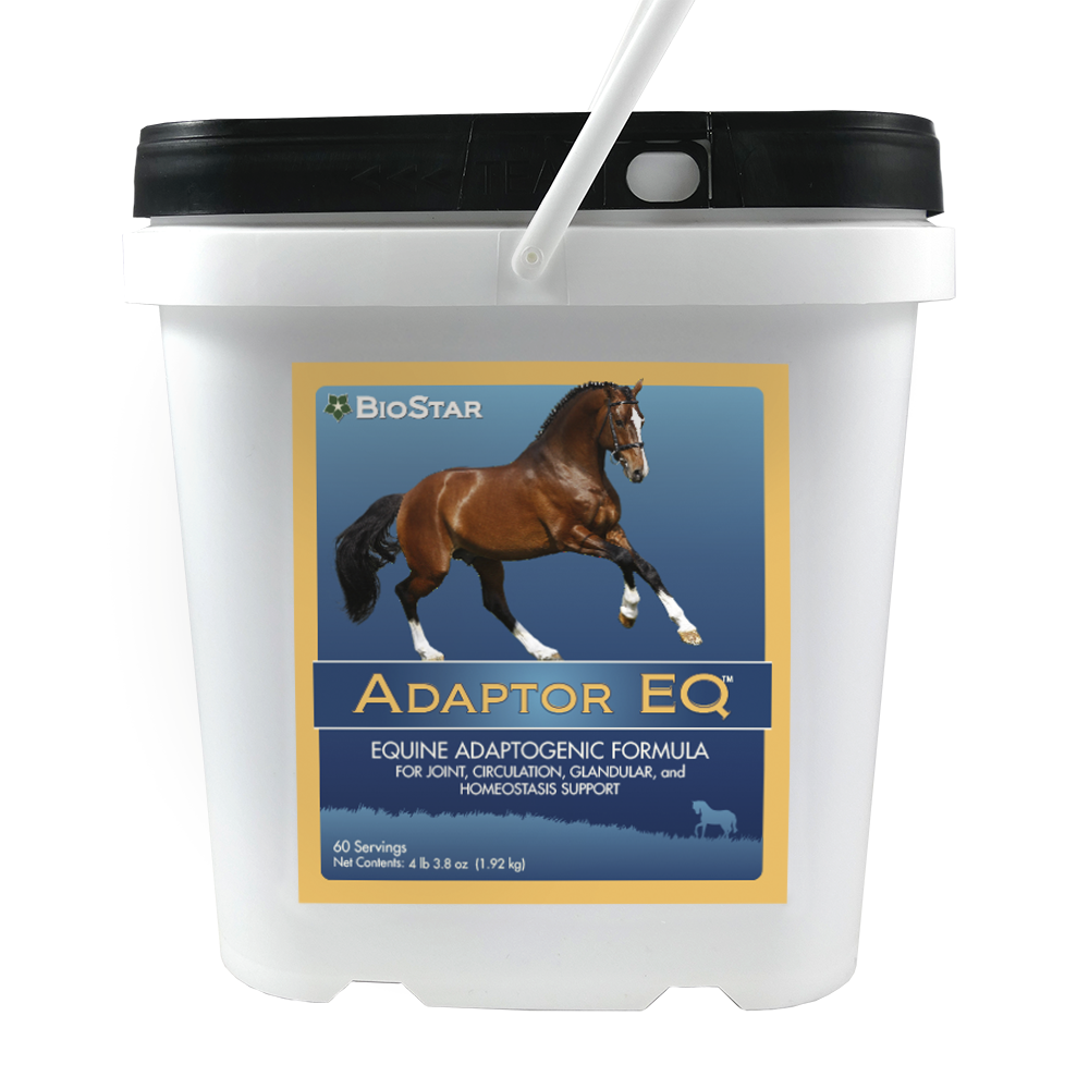 Adaptor EQ for equine wellness through homeostasis | BioStar US