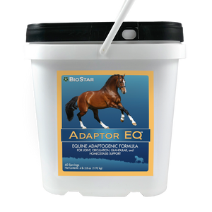 Adaptor EQ for equine wellness through homeostasis | BioStar US