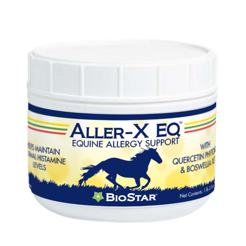 Allergy and Immune Support for Horses, helps maintain healthy histamine levels | BioStar