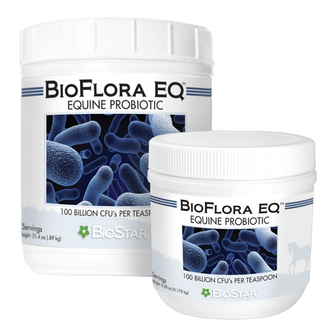 BioFlora EQ - Prebiotic - Probiotic for Horses -|BioStar US