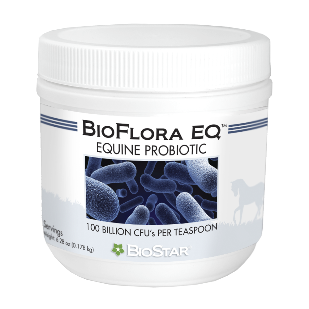 BioFlora EQ - Prebiotic - Probiotic for Horses -|BioStar US