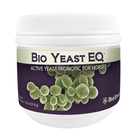 BioYeast EQ active yeast probiotic for horses by BioStar US