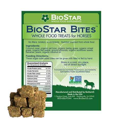 BioStar Bites EQ