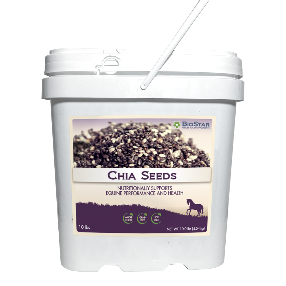 Chia Seeds