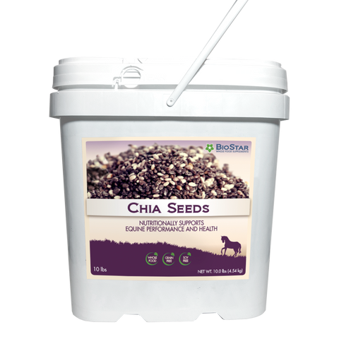 Chia Seeds