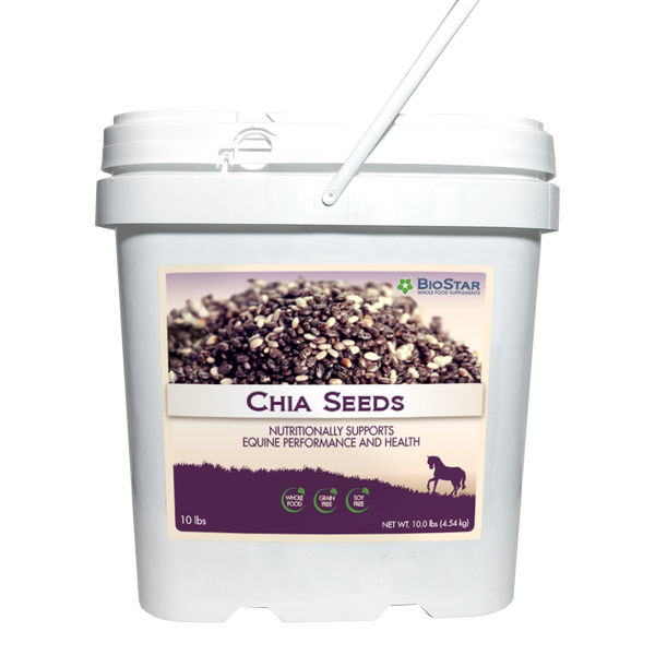 Omega-3 Rich Chia Seeds from BioStar US