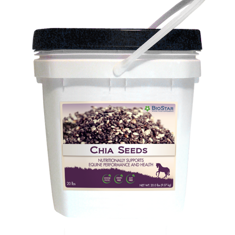 Chia Seeds