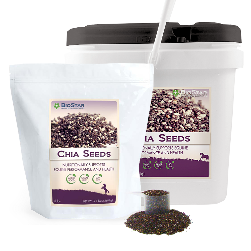 Omega-3 Rich Chia Seeds from BioStar US