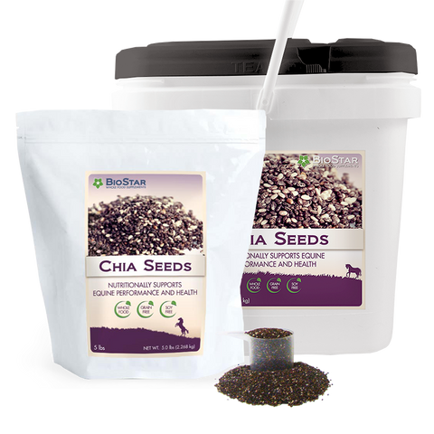 Chia Seeds