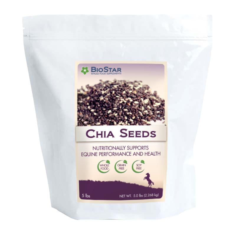 Bulk Chia Seeds Whole Black Organic - 5 lbs.