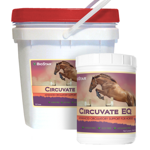 Circuvate EQ by BioStar US, an advanced formula for equine circulation support