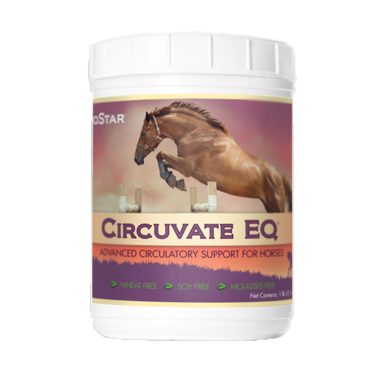 Circuvate EQ