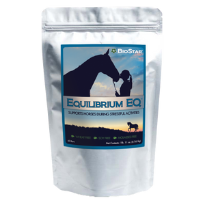 Equilibrium EQ Calming Supplement for Horses | BioStar US