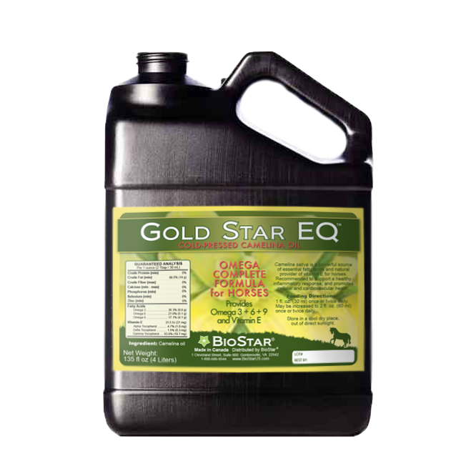 Gold Star EQ Cold-Pressed Camelina Oil for Horses | BioStar US