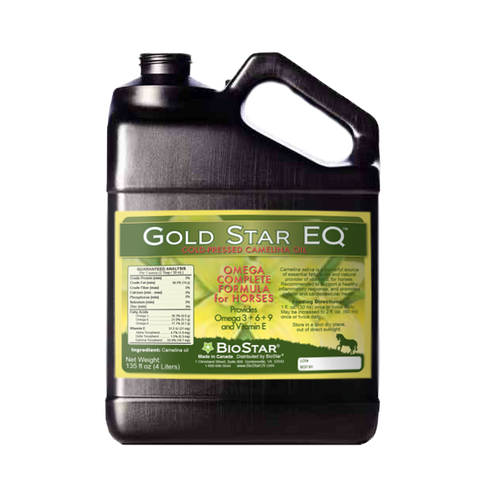 Gold Star EQ