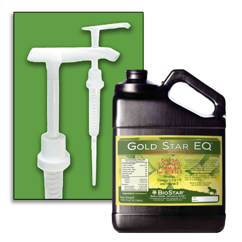 Gold Star EQ pump attachment for Gallon jug