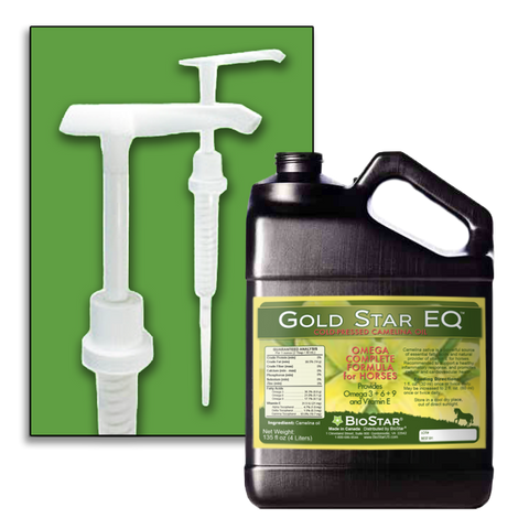 Gold Star EQ Pump