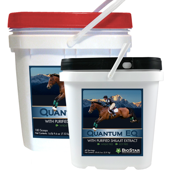 Quantum EQ - Bulk 180 scoops - by BioStar US
