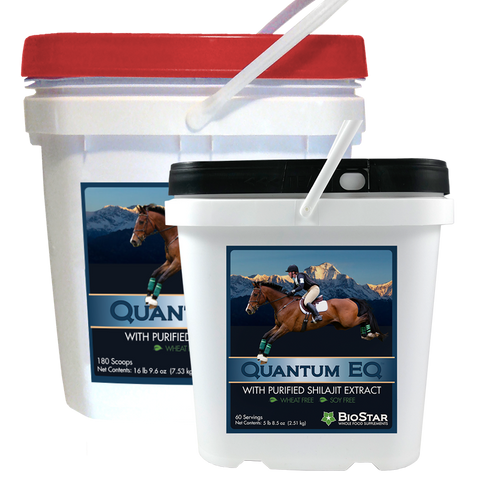 Quantum EQ - Bulk 180 scoops - by BioStar US