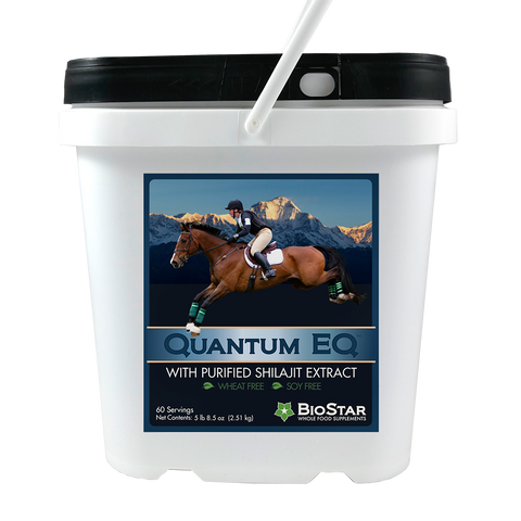 Quantum EQ