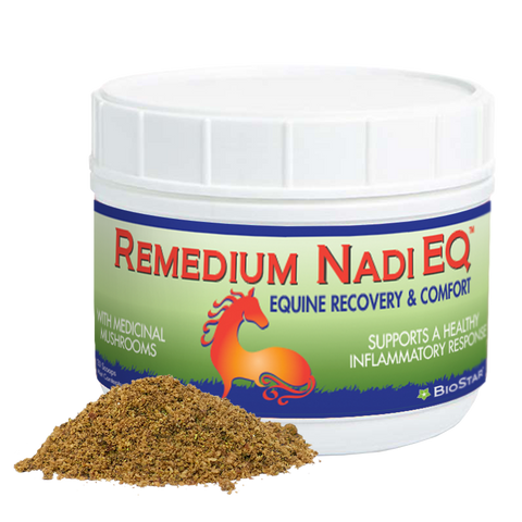 Remedium Nadi EQ