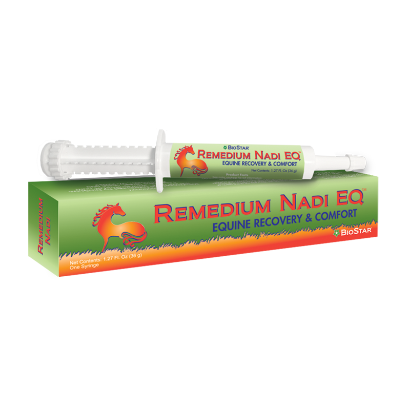 Remedium Nadi Recovery & Comfort Syringe Paste | BioStar US