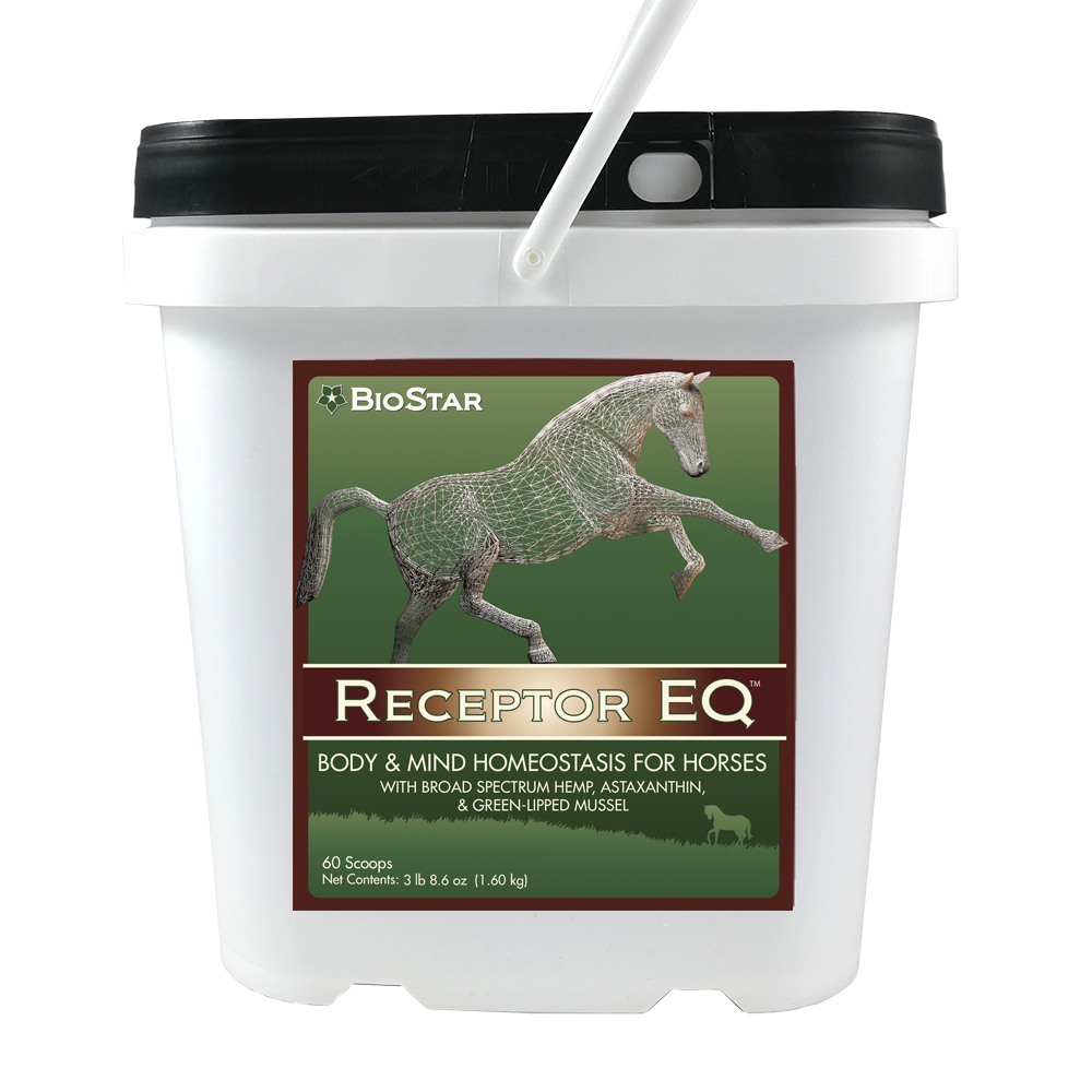 Receptor EQ for equine homeostasis | BioStar US