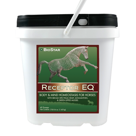Receptor EQ for equine homeostasis | BioStar US