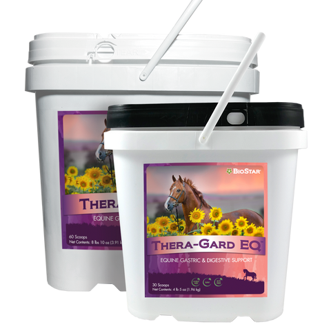 Thera-Gard EQ Gastric & Digestive Support for Horses | BioStar US