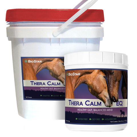 Thera Calm EQ