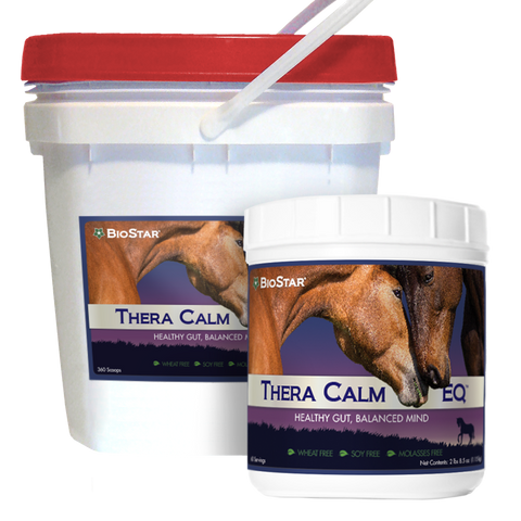 Thera Calm EQ Calming for Horses | BioStar US