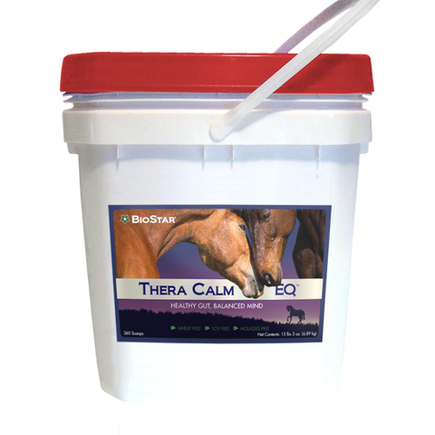 Thera Calm EQ