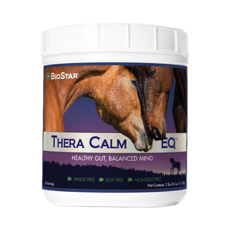 Thera Calm EQ Calming for Horses | BioStar US