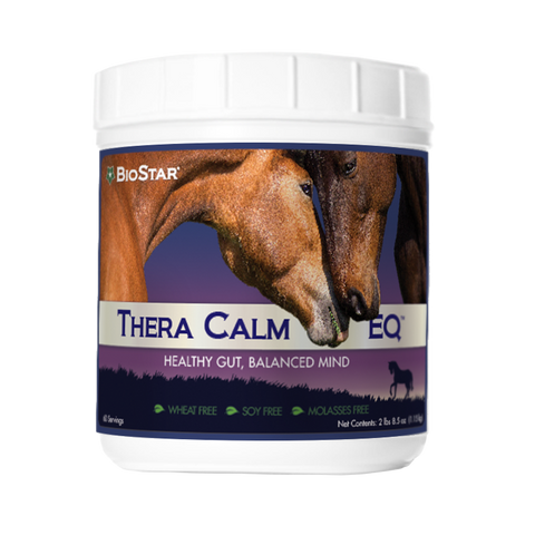 Thera Calm EQ