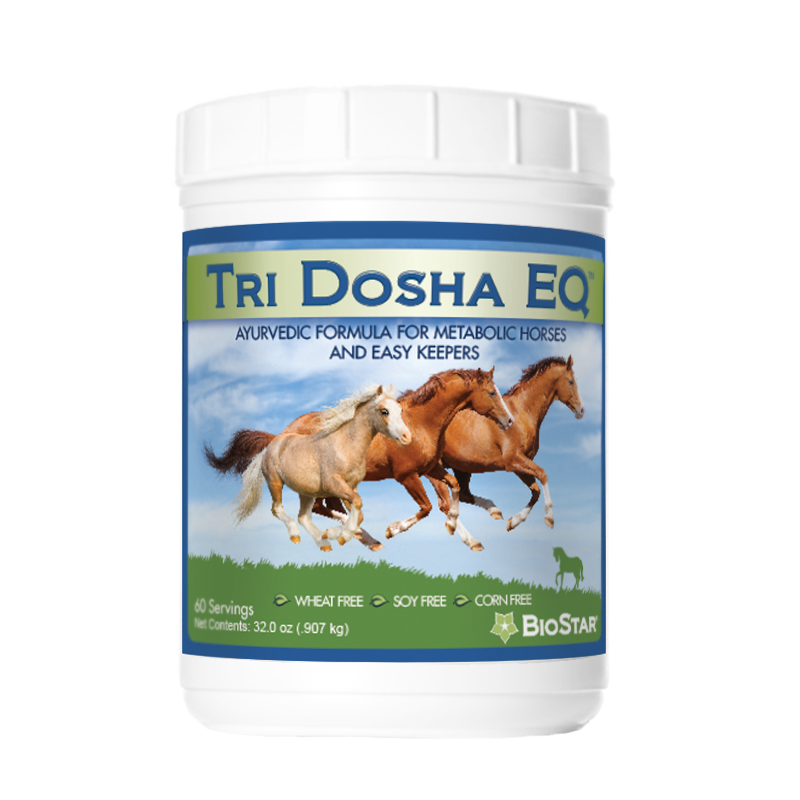 Tri Dosha EQ for Metabolic Horses and Easy Keepers | BioStar US