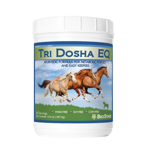 Tri Dosha EQ for Metabolic Horses and Easy Keepers | BioStar US