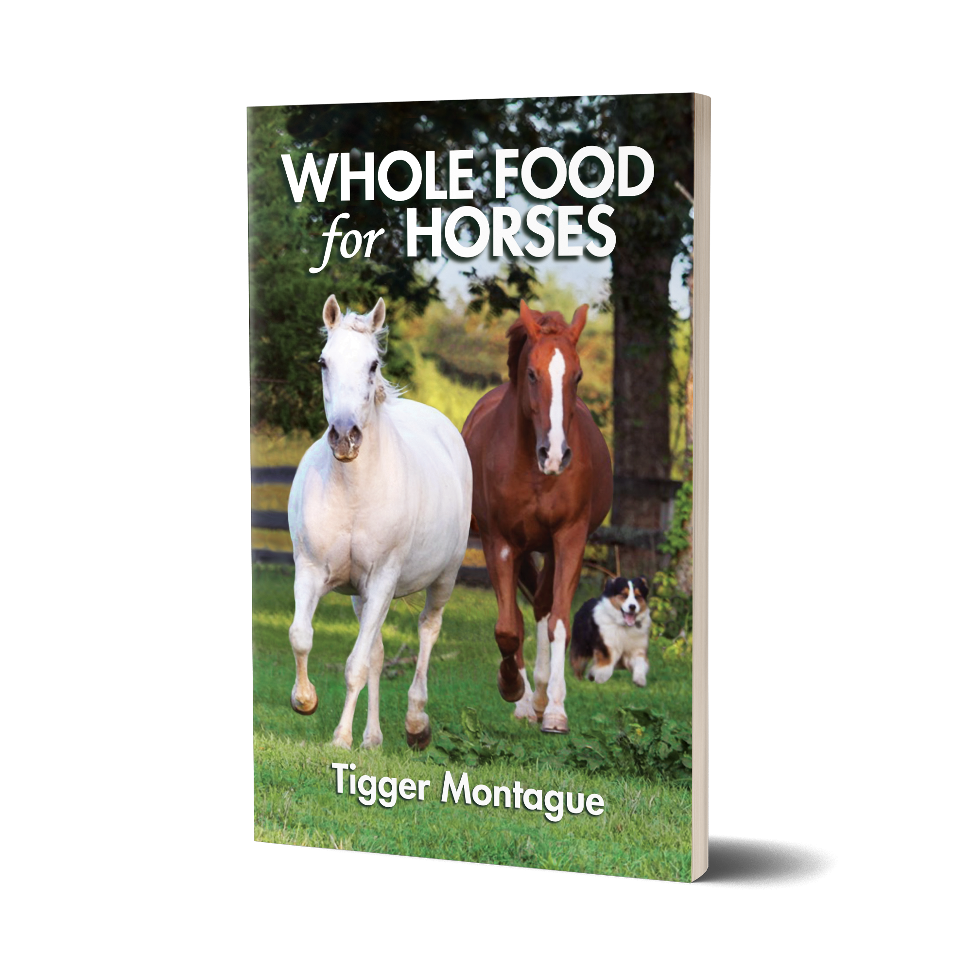 Whole Food For Horses