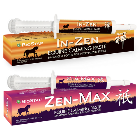 Zen Equine Syringes