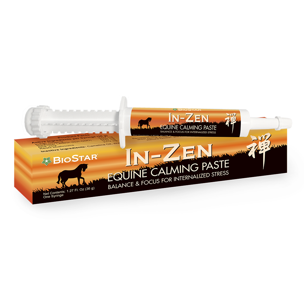 In-Zen Calming Paste for Internalized Stress by BioStar US