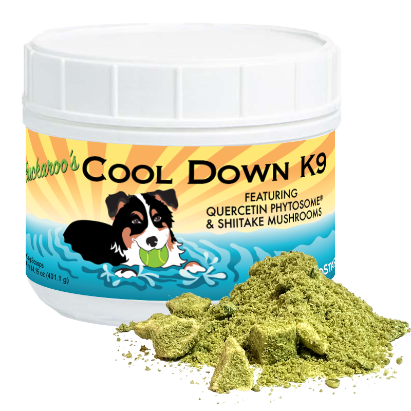 Buckaroo's Cool Down Stew for Allergies and wellbeing for dogs