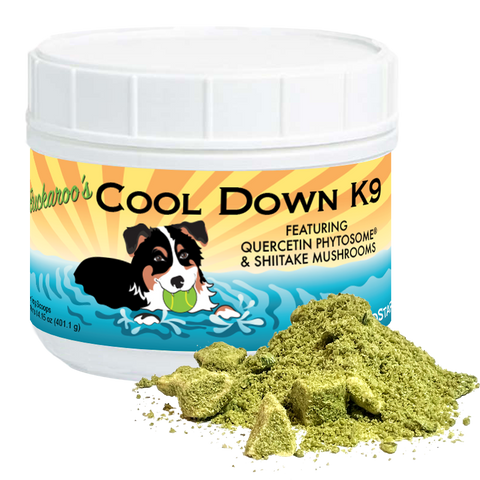 Buckaroo's Cool Down K9