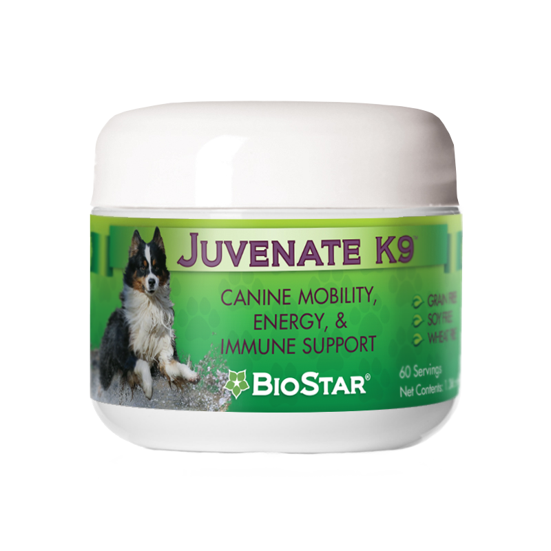 Juvenate K9 Supplement for Dogs | Joints, Circulation, Weight Management | BioStar US