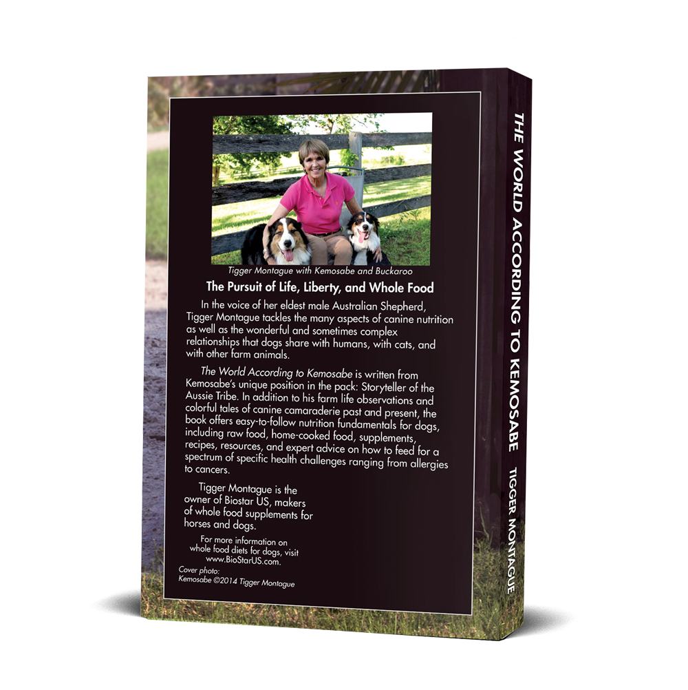 The World According to Kemosabe BioStarUS