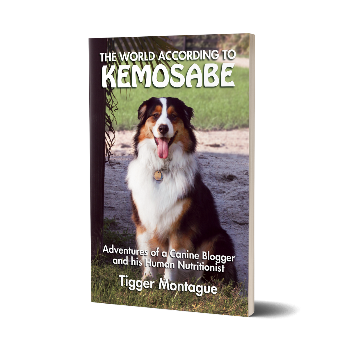 The World According to Kemosabe BioStarUS